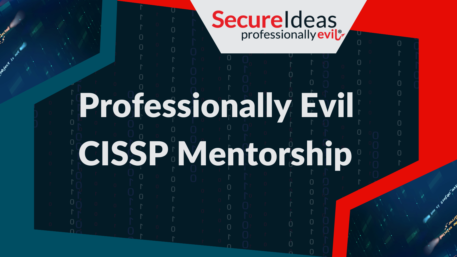 Professionally Evil CISSP Mentorship Program